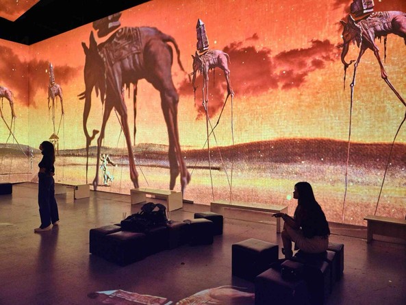 Мультимедиа концерт "Рихтер, Циммер, Эйнауди. Музыка во сне Дали"